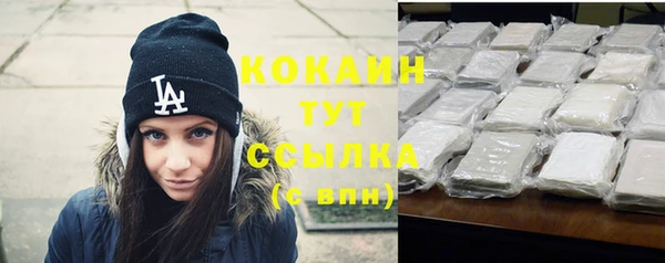 мдпв Михайлов