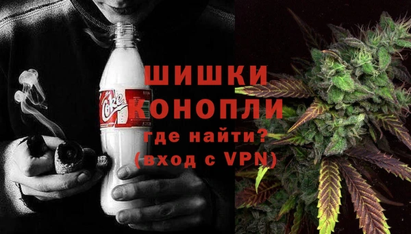 мдпв Михайлов