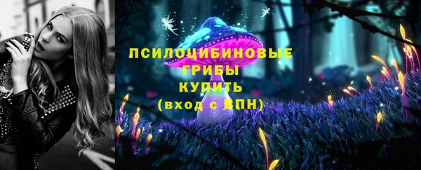 мдпв Михайлов