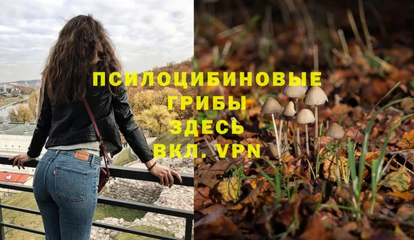 MDMA Premium VHQ Медвежьегорск